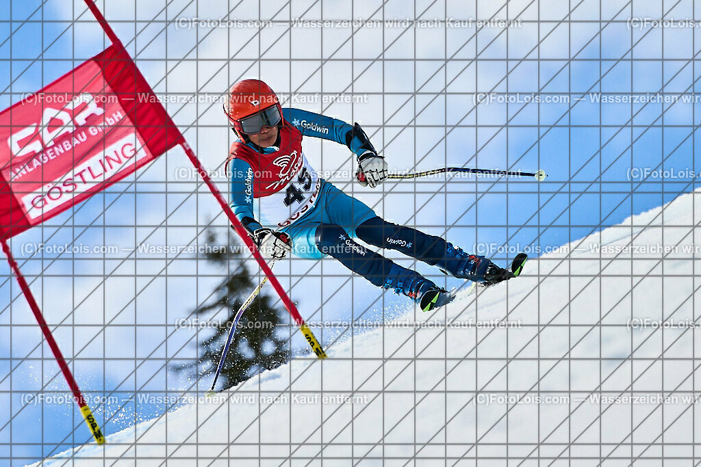 ALP5185_WCM-SuperGiant_Kat-B_Mitsuhashi Shinichi | (C)FotoLois.com, Alois Spandl, World Criterium Masters Ski Alpin 2023 Hochkar, SuperGiantSlalom, Kategorie B, Mi 22. März 2023.