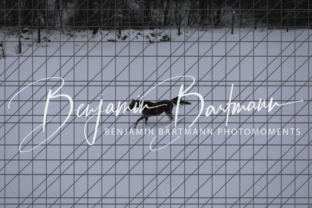 AZ2A3412 | Benjamin Bartmann Photomoments