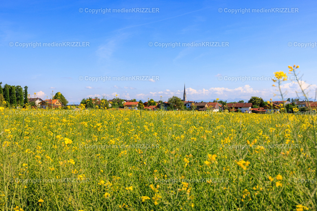 Emertsham | medienkrizzler - Realisiert mit Pictrs.com