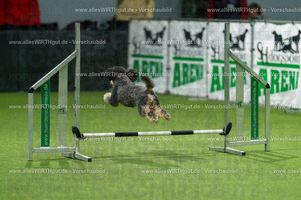 7R504023 | Professionelle Tierfotografie in Mönchengladbach von Daniel Wirth (allesWIRTHgut). Liebevolle & natürliche Bilder von Hunden & Katzen für unvergessliche Erinnerungen.