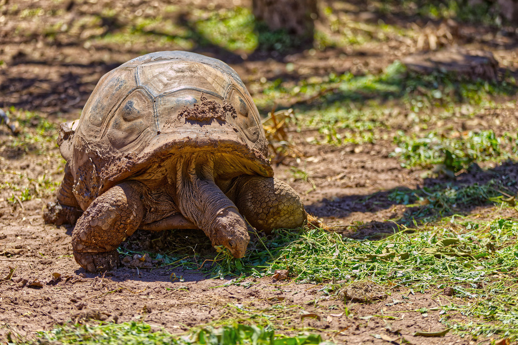 1H5A6605 | ansichtssache