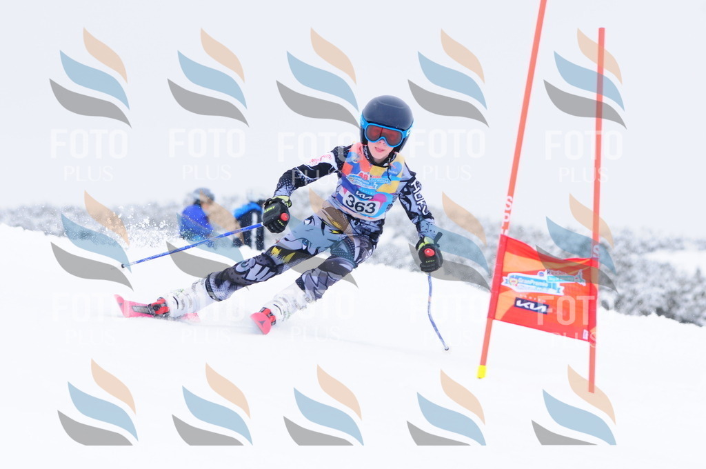 C3876 | holidayphoto