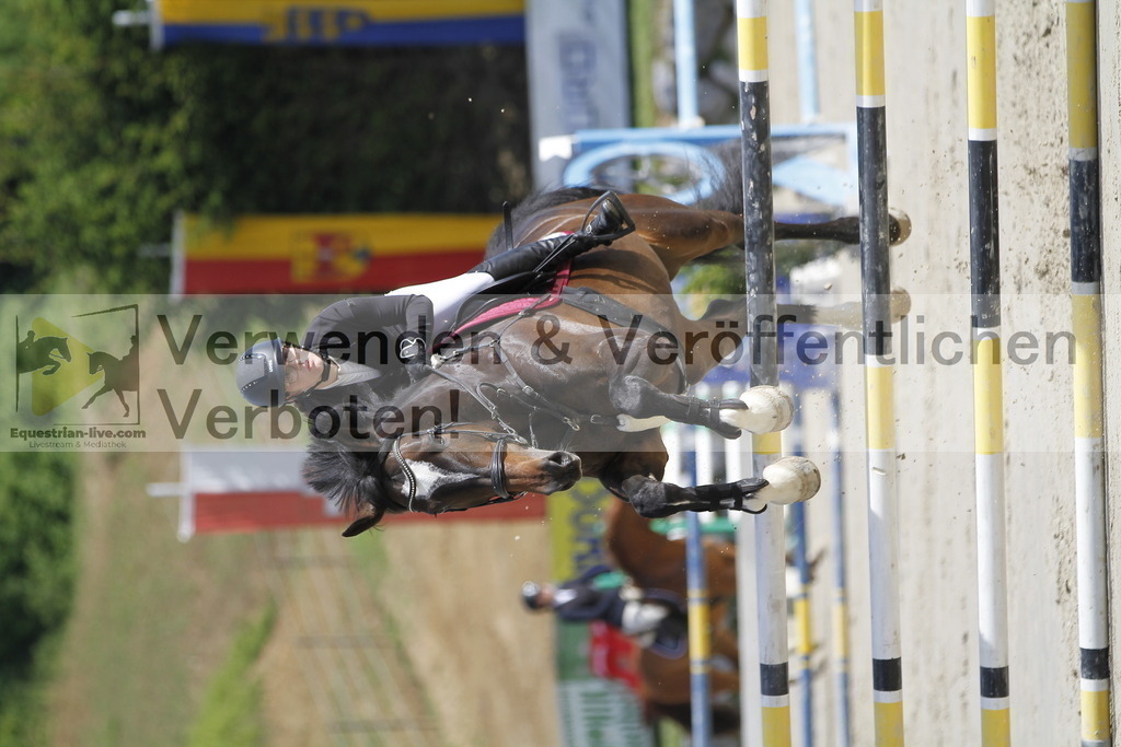 _MG_8632 | equestrian-live-com
