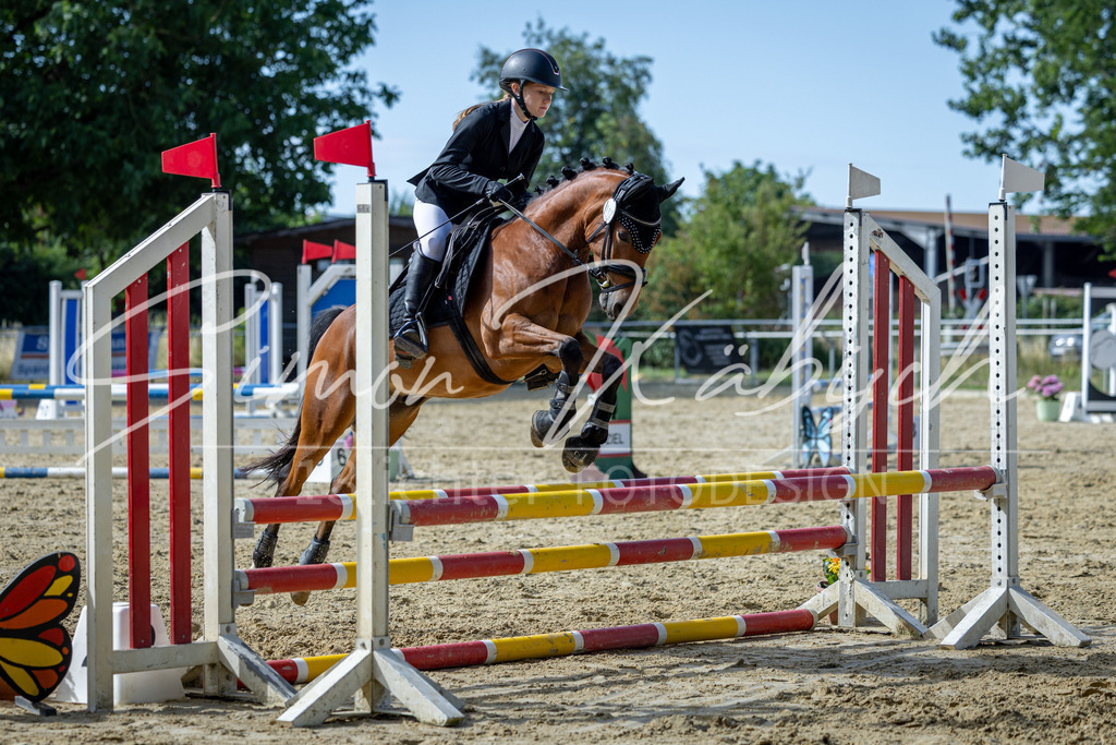 20260704-_3LI7147 | Tierfotografie Pferde, Hunde, Katzen, Haustiere.
Turnierfotografie Reitturniere, Reiten, Springreiten, Dressur in Hanau, dem Main-Kinzig-Kreis und dem Rhein-Main- Gebiet um Frankfurt