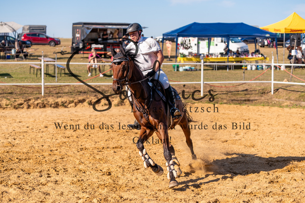 A7V02600 | Pferdefotograf