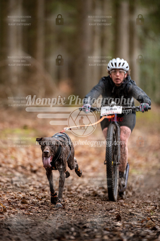 SPA_2023_DIM_Scooter-17 | PayLife