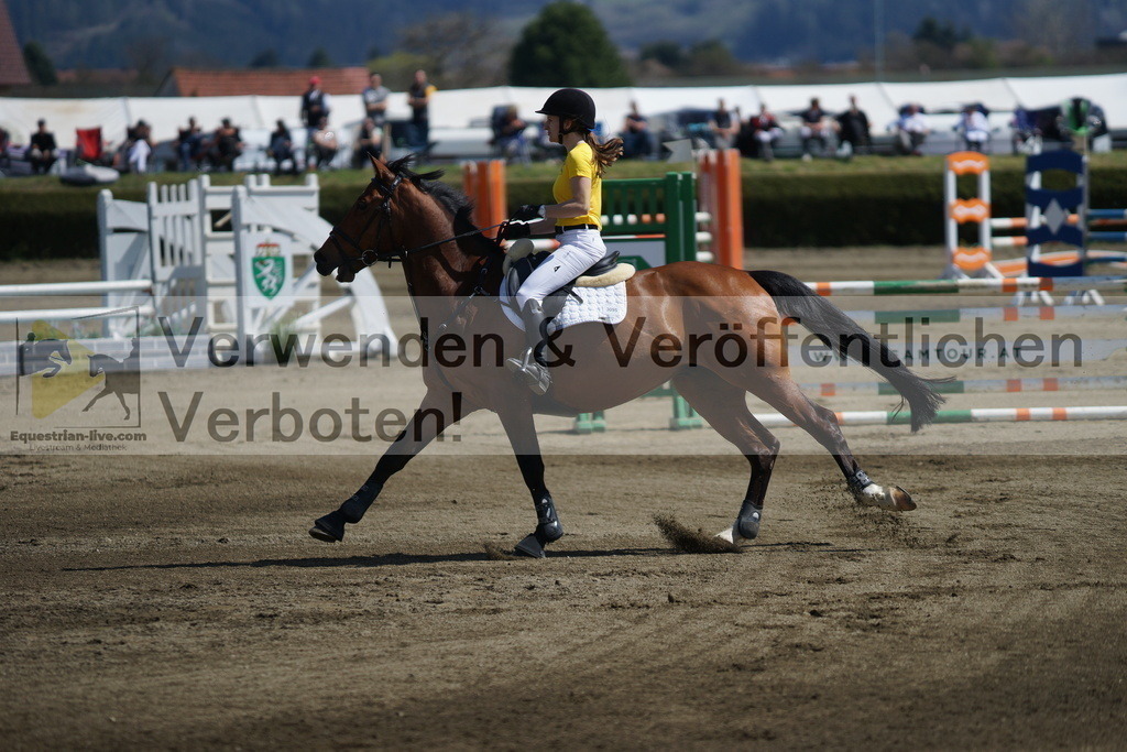 DSC02960 | equestrian-live-com
