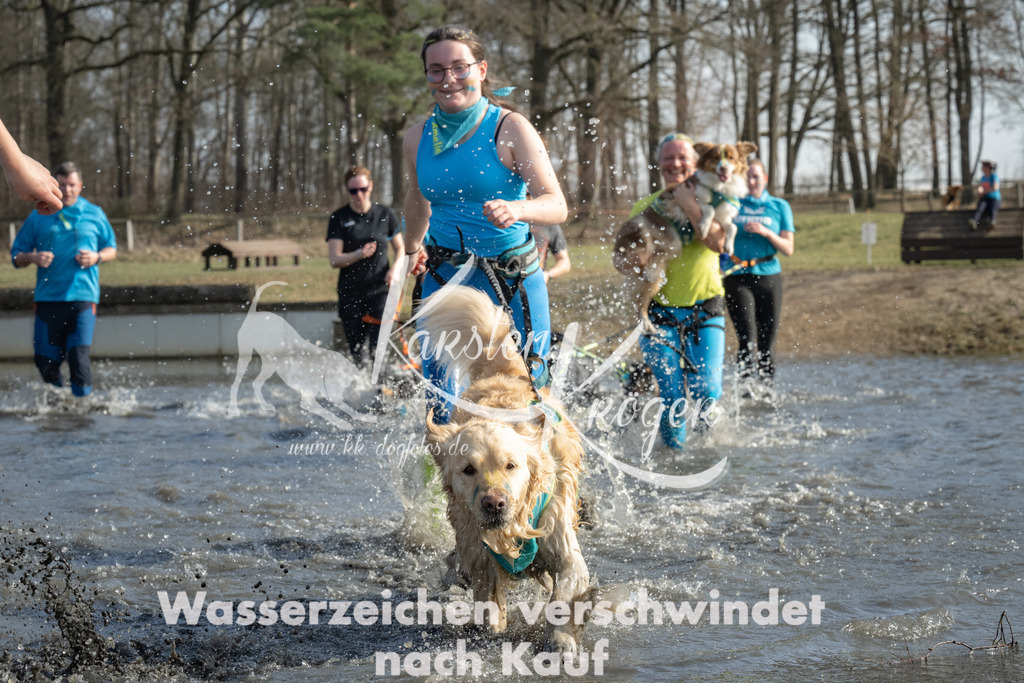 1347_ZZ98173 | kk-dogfotos