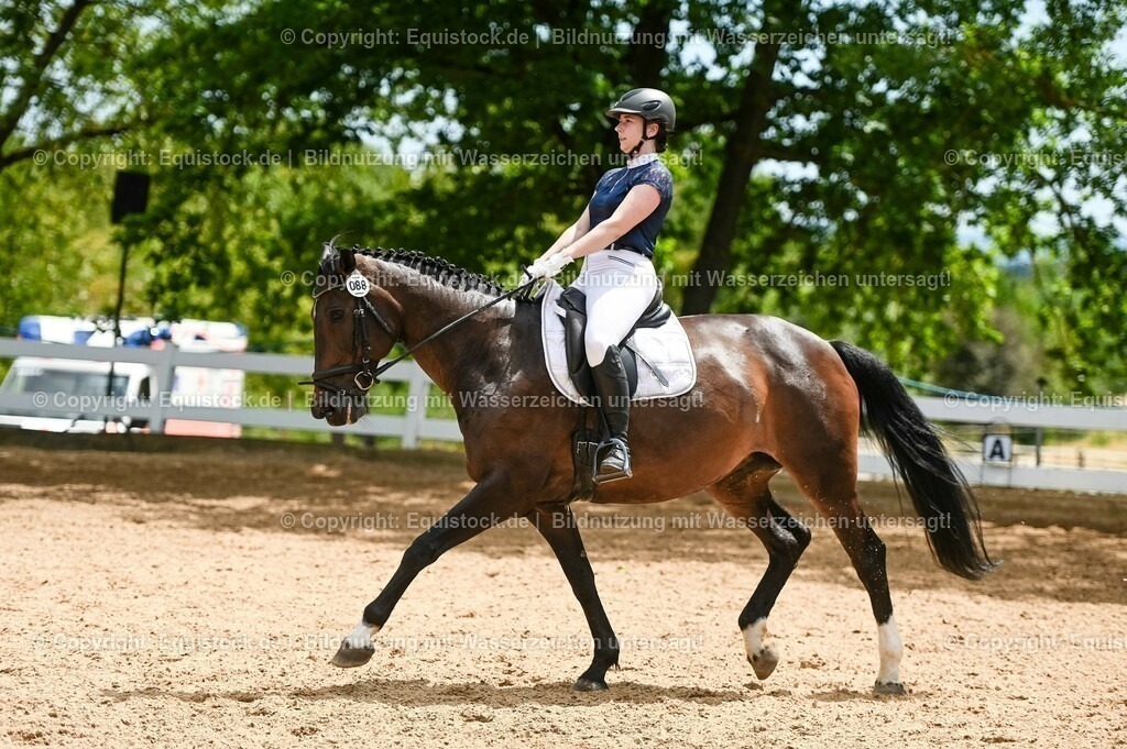 20230715_05_Dressurprüfung Kl.A++_0371 | equistock