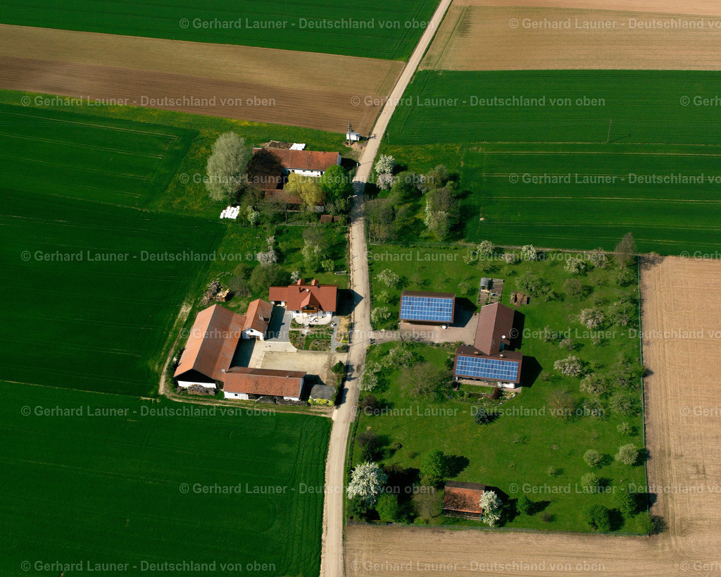 2519094 | Dungerfalter, Geiselhöring