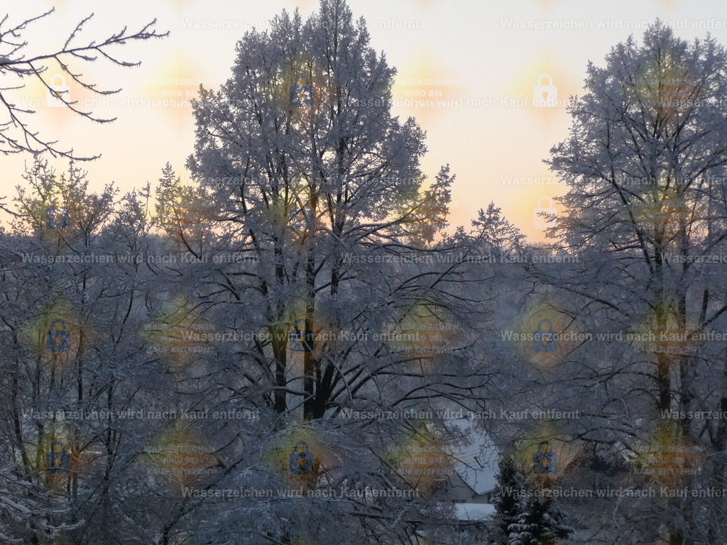 P1000209 | Fotoseite Wolkenblende - Das Hobby fotografieren begleitet mich schon  viele  Jahre. Auf den nächsten Seiten zeige ich ein paar Schnappschüsse der letzten Jahre und es kommen immer neue hinzu. Schau einfach mal rein. - Realisiert mit Pictrs.com