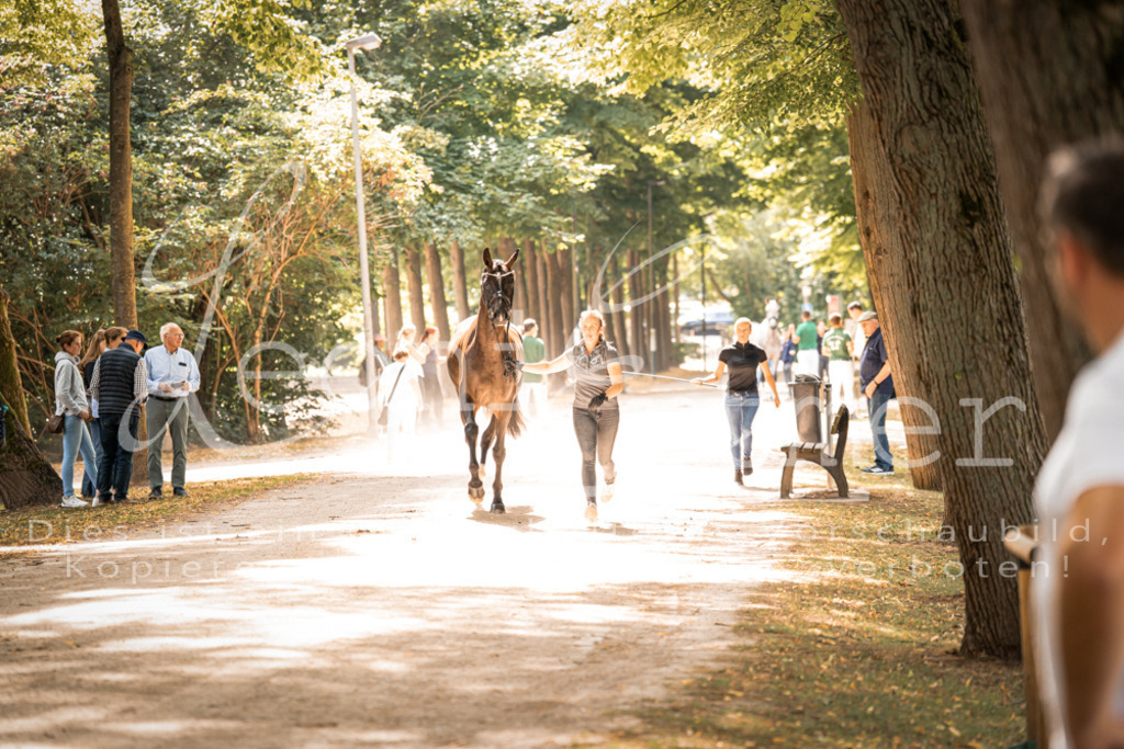 FrPfM00165 | Leoni Ertmer Photography - Realisiert mit Pictrs.com