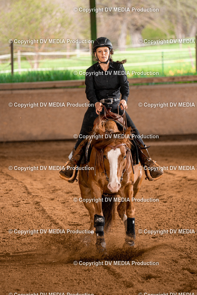 BAL00996 | dv-media-shop - Realisiert mit Pictrs.com