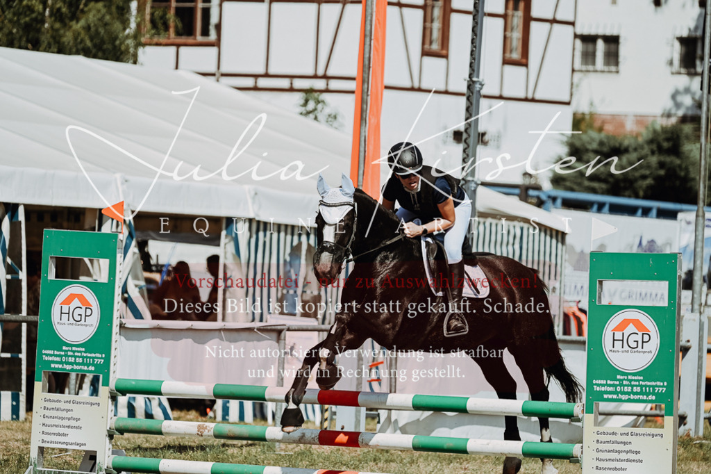 DSC_9846 | Pferde- und Turnierfotografie in Westsachsen. Pferdeportraits, Auftragszeichnungen und intuitive Kunst.