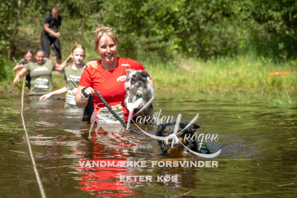 1212DKK992154 | kk-dogfotos