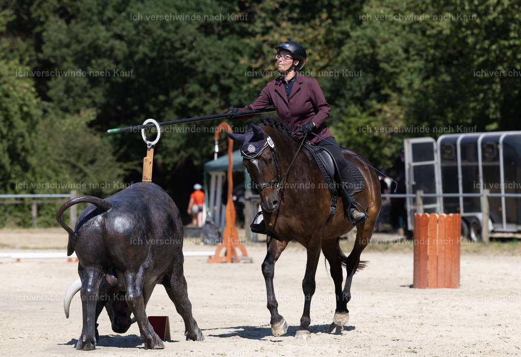 WE_Trail_32_KerstinBernhardt-7 | working equitationturnier fotograf videograf stoibphotography marixx film working equitation deutschland reitsport turnierfotografie eventfotografie equestrian events