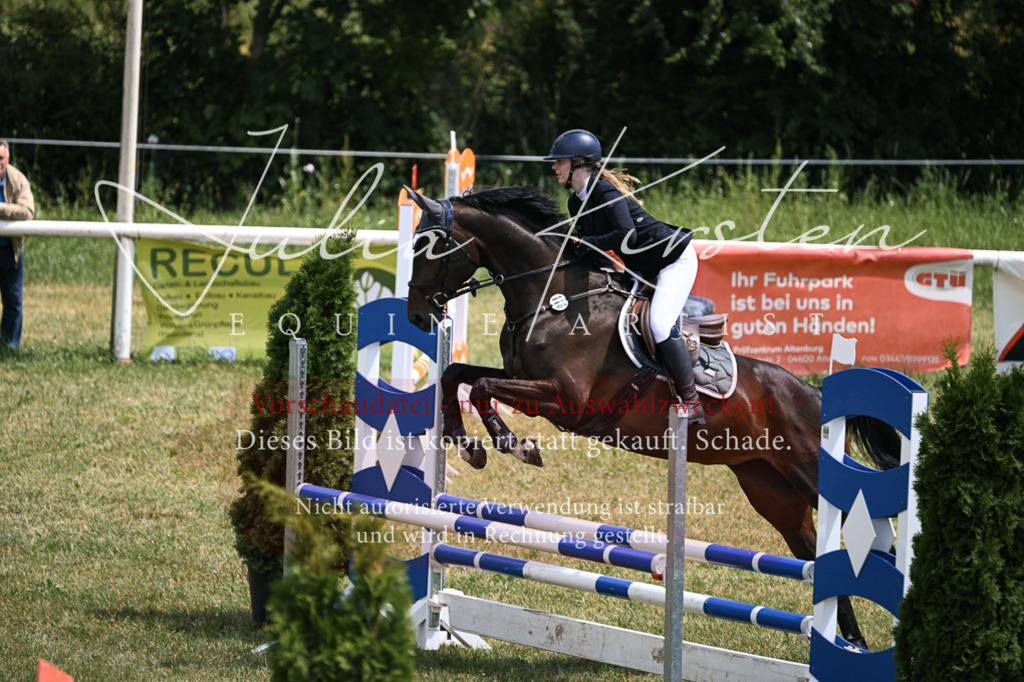 DSC_9700 | Pferde- und Turnierfotografie in Westsachsen. Pferdeportraits, Auftragszeichnungen und intuitive Kunst.