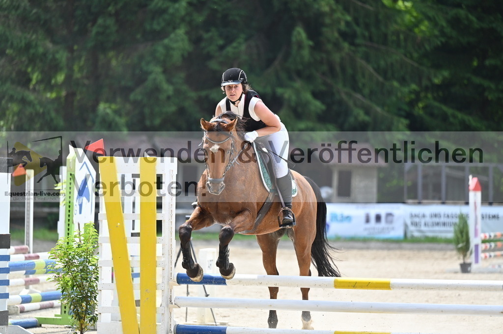 DSC_4209 | equestrian-live-com
