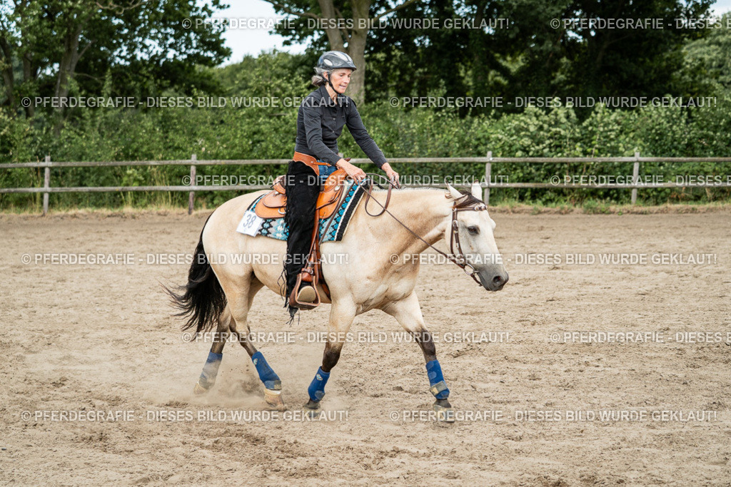 DSC02230 | Pferdegrafie