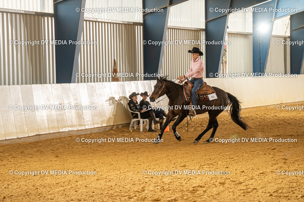 MIT01324 | dv-media-shop - Realisiert mit Pictrs.com