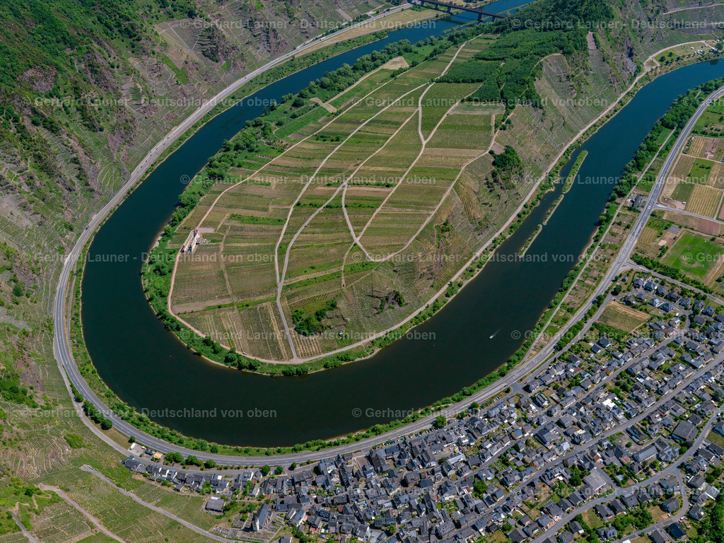 3114472 | Weinberge an der Moselschleife bei Bremm