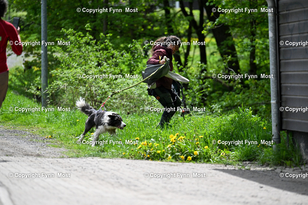 DSC_6462 | Hallo und herzlich Willkommen auf meiner Shop-Seite Fynn Most.

Ich wünsche Dir viel Spaß beim stöbern durch die Bilder, wenn Du Fragen hast oder Bilder vermisst, kannst du mir gerne eine Nachricht schreiben. - Realisiert mit Pictrs.com