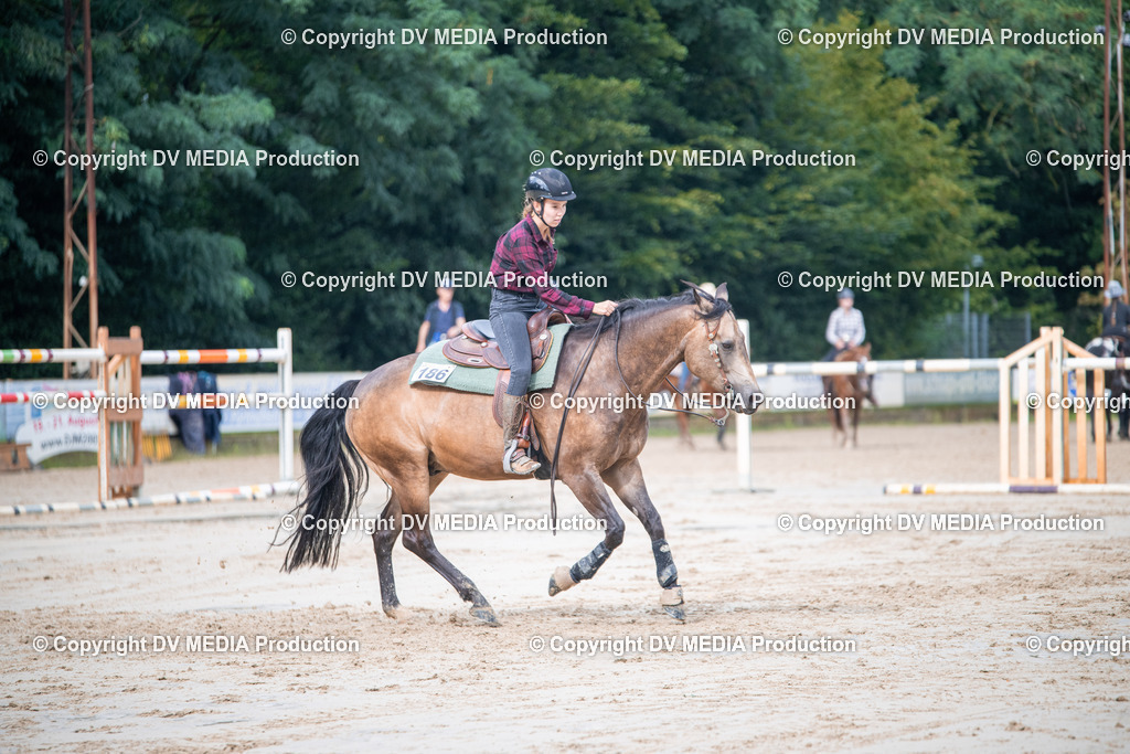 ZS2_4251 | dv-media-shop - Realisiert mit Pictrs.com