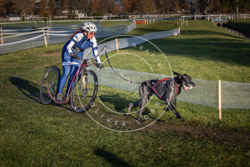 CaniXpix_0L8A3595 | Hundefotografie, Tierfotograf, Pfotenfotografie, Fotoshooting Hund, Hunde Portrait, Hundesport, Hundeportraits, Heideshooting, Hunde, Sportfotograf, Hundefotograf, Turnierhundsport, THS,  - Realisiert mit Pictrs.com