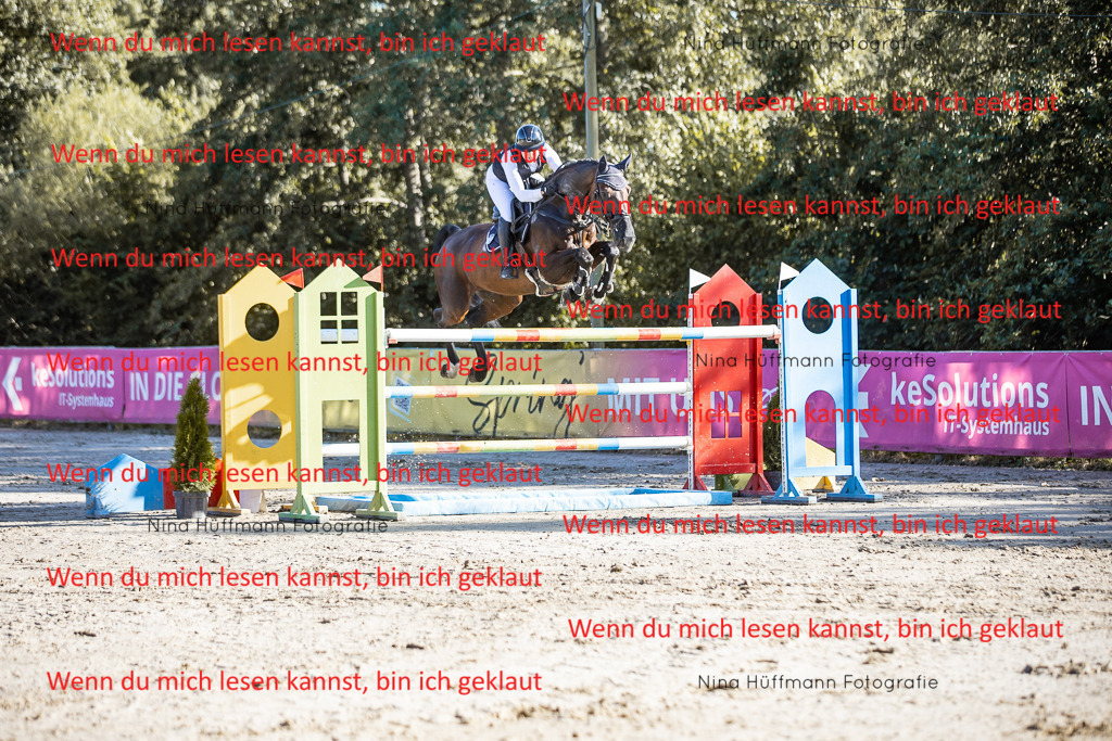 BK1A8625 | Turnierbilder Turnierfotos Nina Hüffmann Turnierfotografie Pferdefotografie Tierzeichnung Haustierzeichnung Pferdezeichnung Hundezeichnung Videograf  - Realisiert mit Pictrs.com
