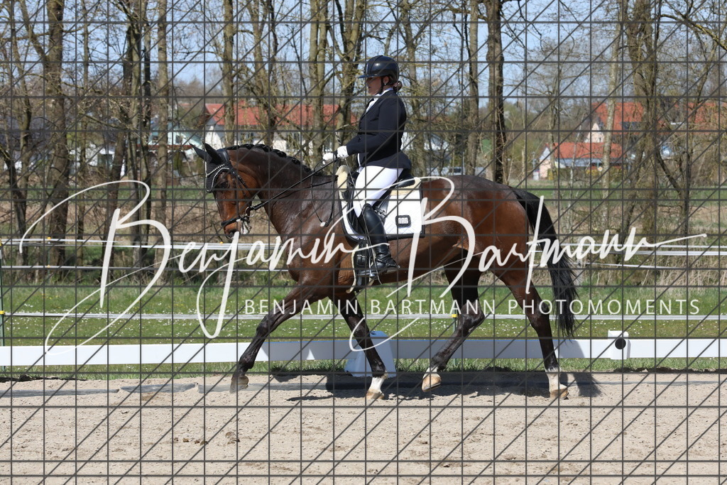 AZ2A4328 | Benjamin Bartmann Photomoments