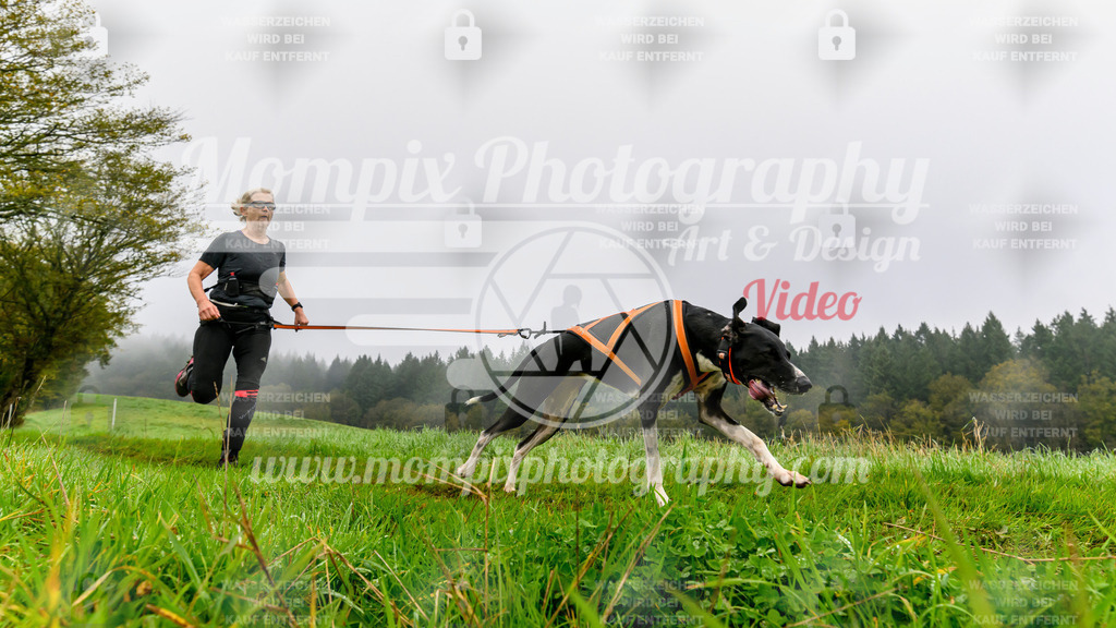 MompixPhotography_20TSB_E5_Run-91 | PayLife