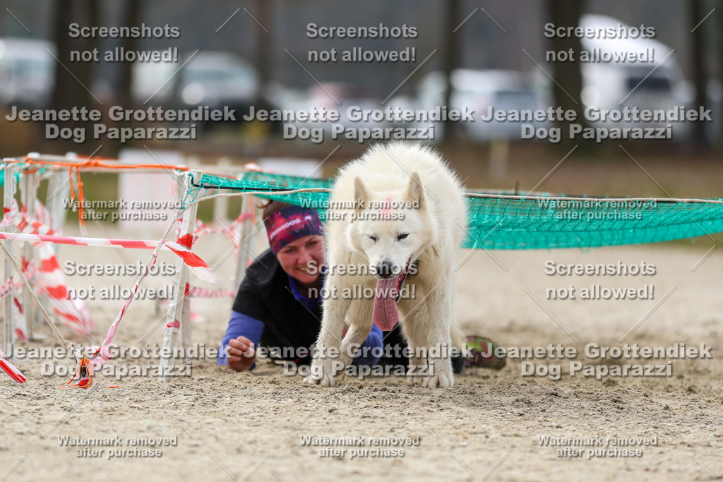 Dog Paparazzi - Strongdog North Mrz26-5741 | Dog Paparazzi Jeanette Grottendiek Fotografie & Videografie - Realisiert mit Pictrs.com