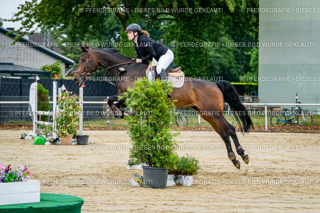 DSC02129 | Pferdegrafie