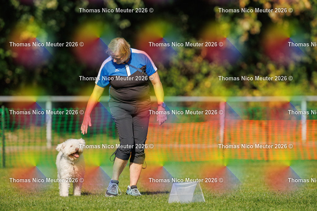 Thomas_Nico_Meuter(C)_04. Oktober 2026_223A2603 | Bild von Thomas Nico Meuter - Realisiert mit Pictrs.com