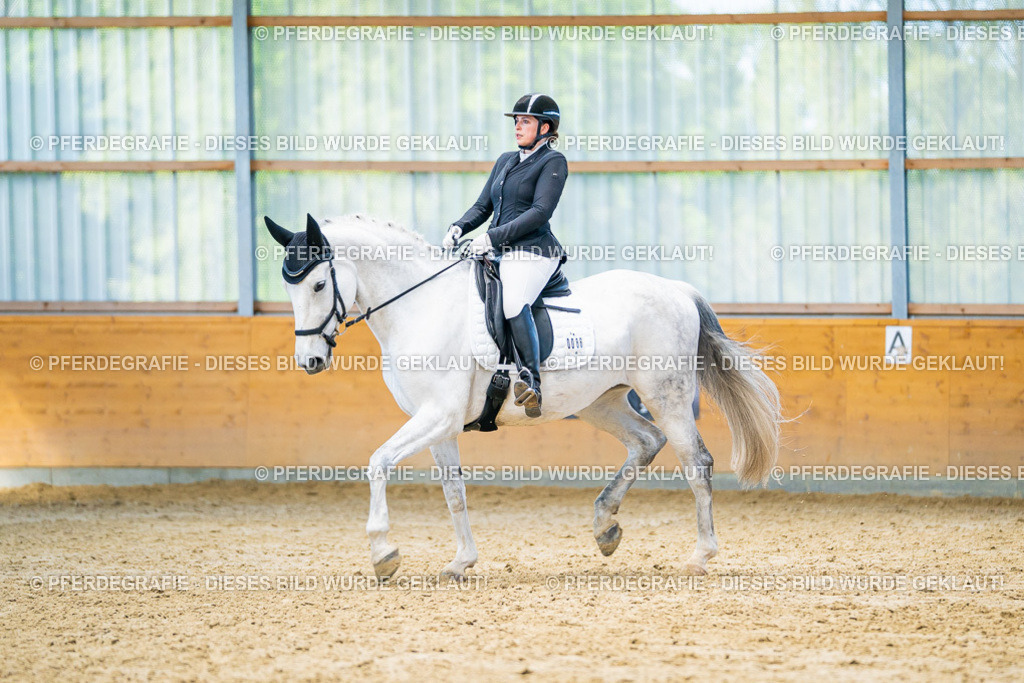 DSC07831 | Pferdegrafie