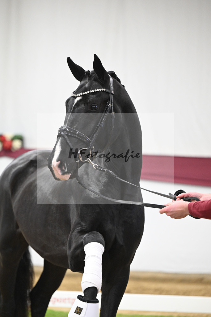 Kat-Nr. 50 Energy x Sezuan_Wilhelm u. Marvin Klausing GbR_47251850 | hf-fotografie - Realisiert mit Pictrs.com