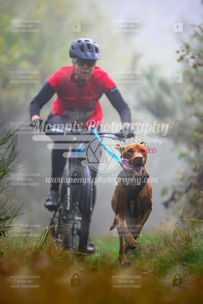 MompixPhotography_20TSB_E4_Bike-74 | PayLife