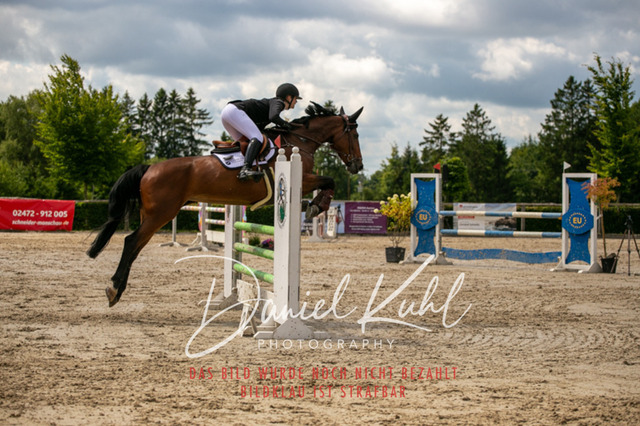 IMG_5521 | Turniersportfotografie; Pferdefotografie; Dressurfotografie