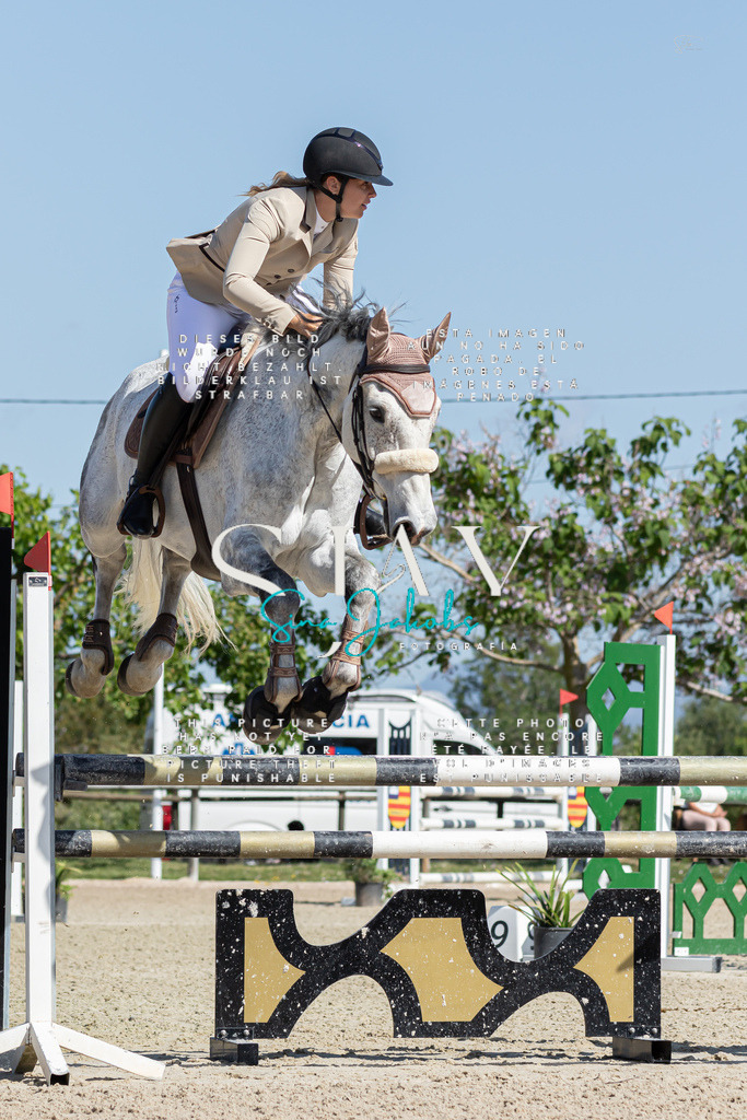 IMG_0770 | s-jay-photography - Realisiert mit Pictrs.com