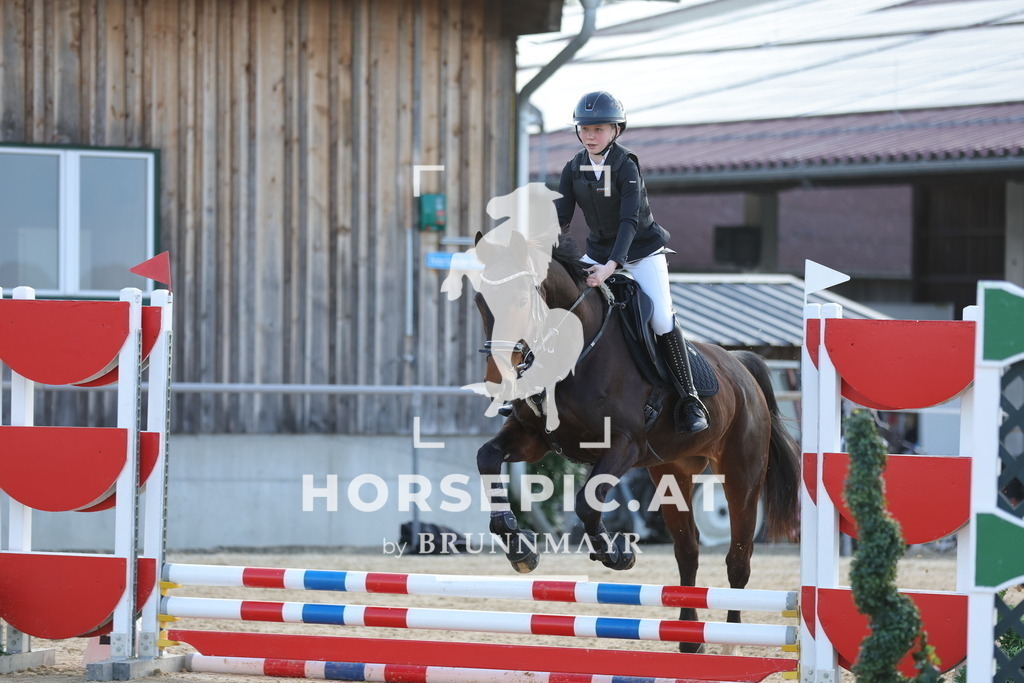 0P6A9099 | Willkommen bei Brunnmayr - Design & Fotografie – Ihrem Spezialisten für Reitturniere und Pferdeveranstaltungen in Oberösterreich, Salzburg und Bayern! Seit über 17 Jahren sind wir leidenschaftlich dabei.