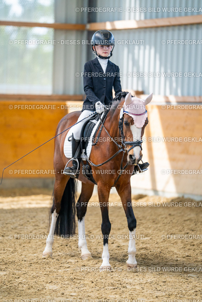 DSC01132 | Pferdegrafie