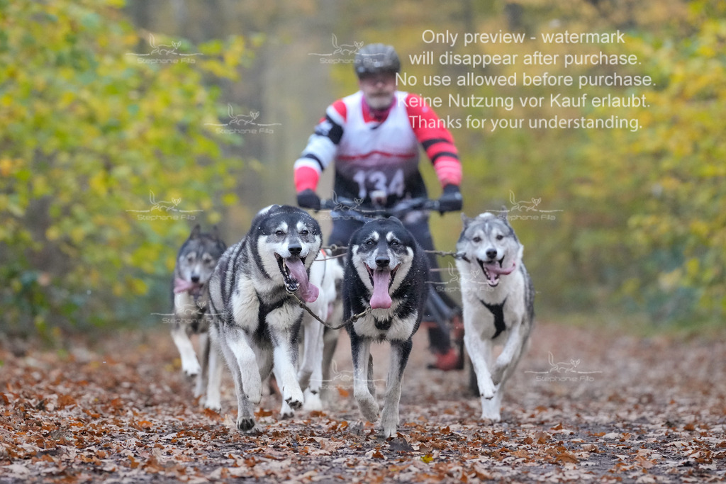 AusschnitteSo-10 | stephaniefillaphotographie - Realisiert mit Pictrs.com