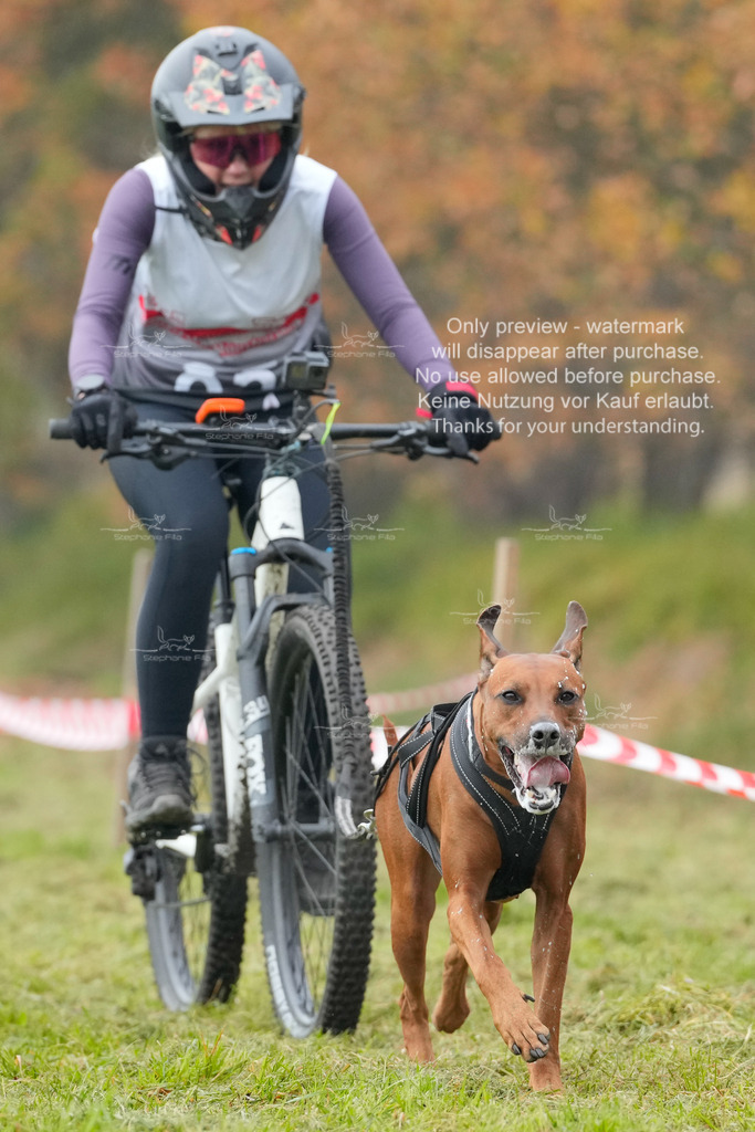 AusschnitteSa-150 | stephaniefillaphotographie - Realisiert mit Pictrs.com