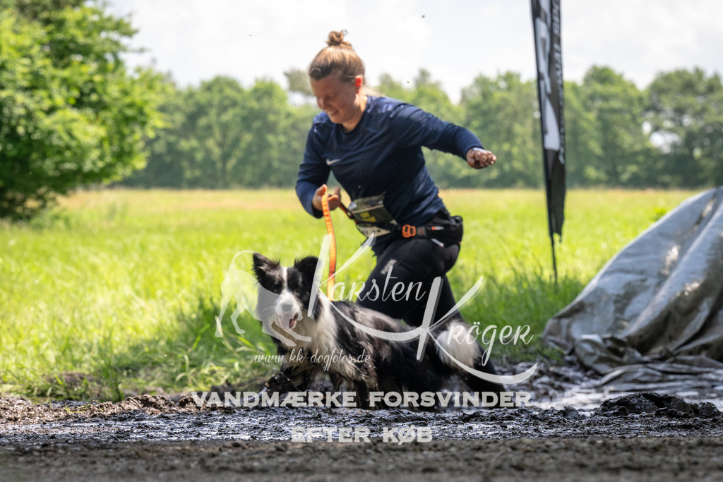 1157_ZZ90602 | kk-dogfotos