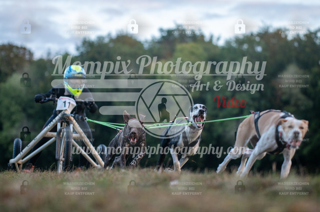 CDLBDB_15_10_2023_Dimanche-18 | PayLife