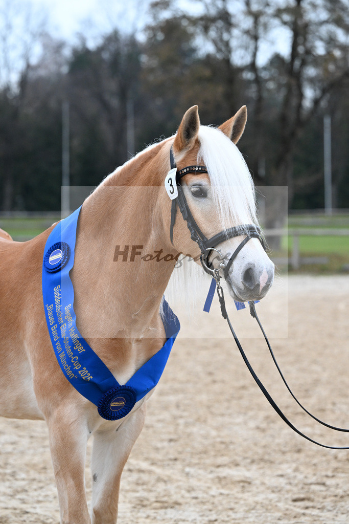 Bl. Band Kat-Nr. 3 Lorena v. Sterlington_Weber_48251726 | hf-fotografie - Realisiert mit Pictrs.com