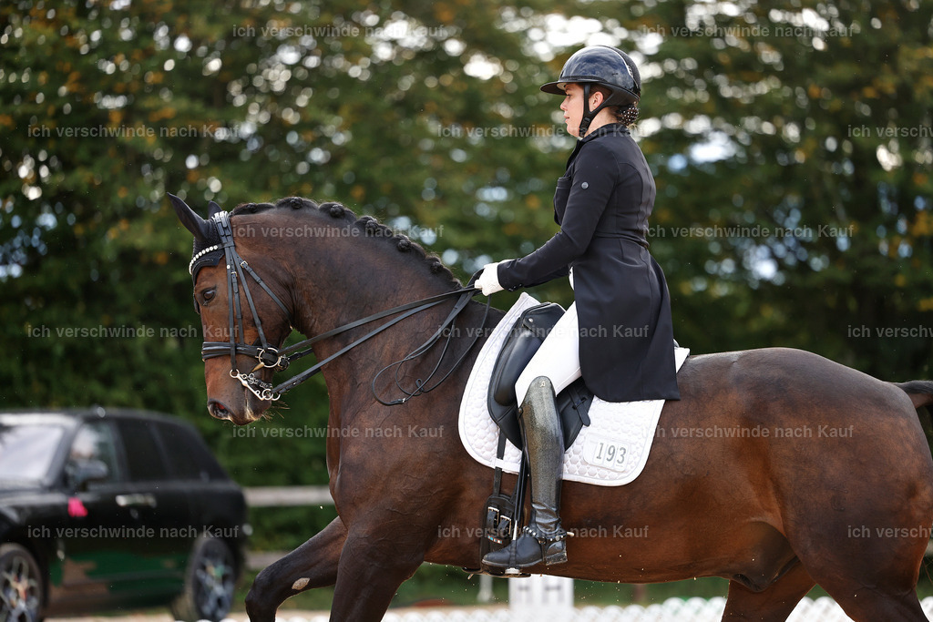 10-193-ST.GEORG SPECIAL -StoibPH-3234 | working equitationturnier fotograf videograf stoibphotography marixx film working equitation deutschland reitsport turnierfotografie eventfotografie equestrian events