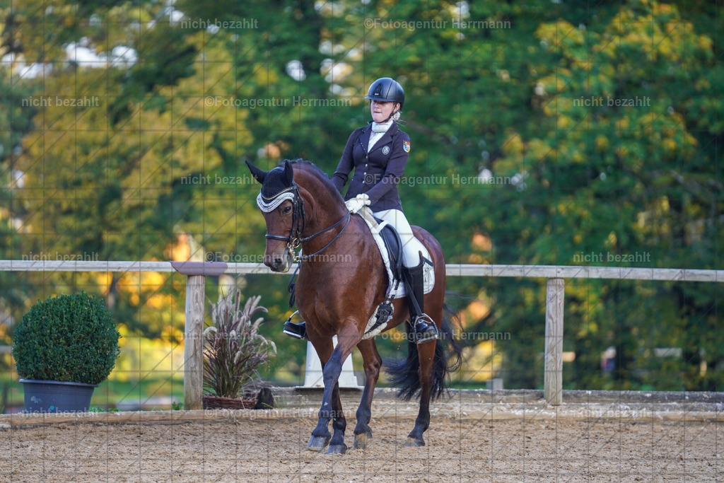 20221007-FAH00450 | Diessen am Ammersee, 2022, Dressur- und Springturnier, Reitsportbilder, Turnierfotografen Bayern, Pferdefotografen, Fotoagentur Herrmann, Turnierbilder