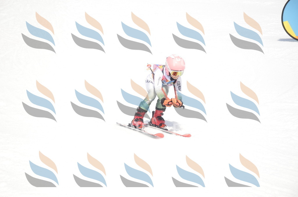 _ELE8964 | holidayphoto