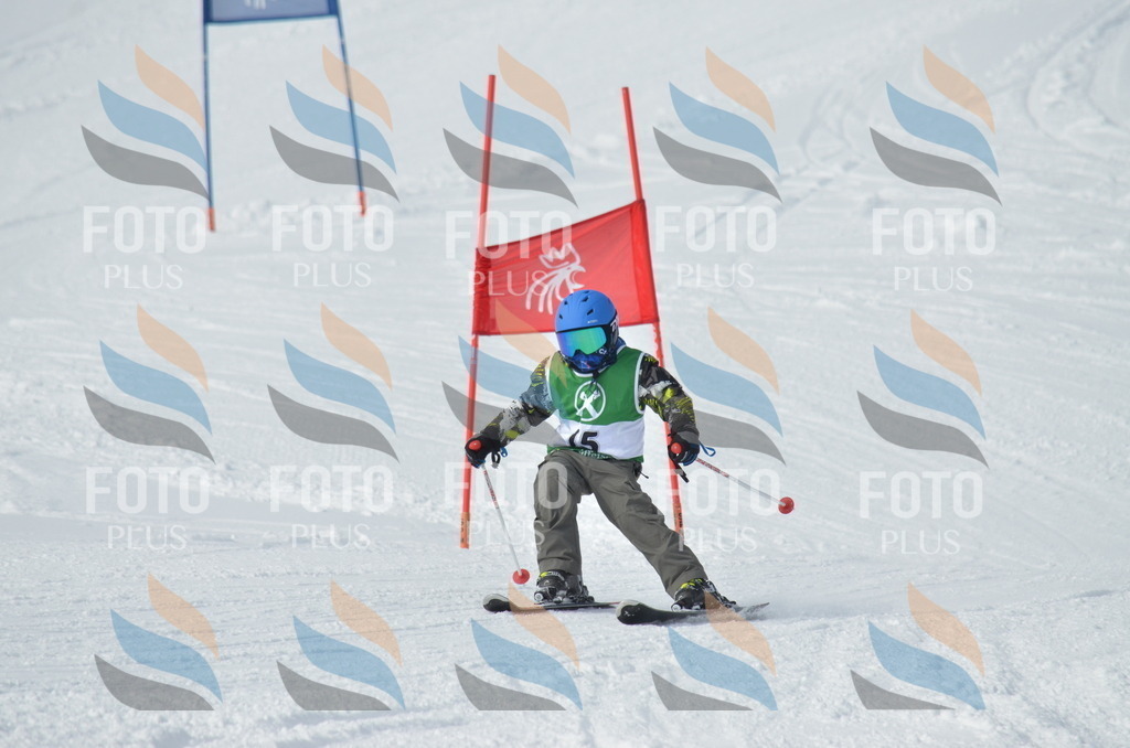 D8556 | holidayphoto